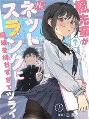 作品详情预览图